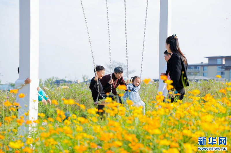 浙江南潯石淙鎮(zhèn)：跟著賽事去旅游